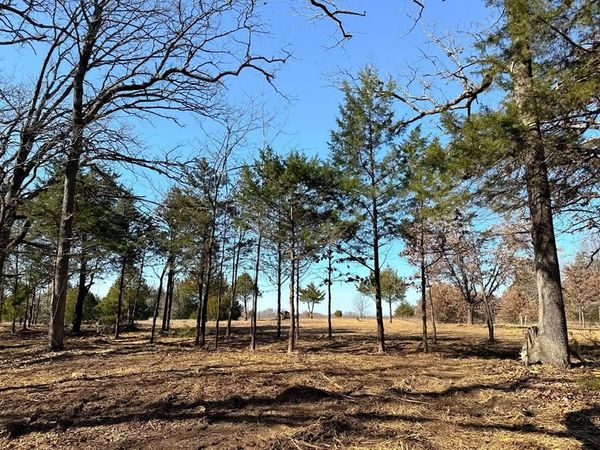 800 Burrows Chapel Road , Gordonville, TX 76245