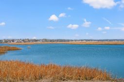 401 36th Ave. N photo 4