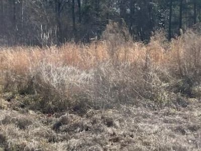 1064 Van Dyke Road, Cottageville, SC 29435