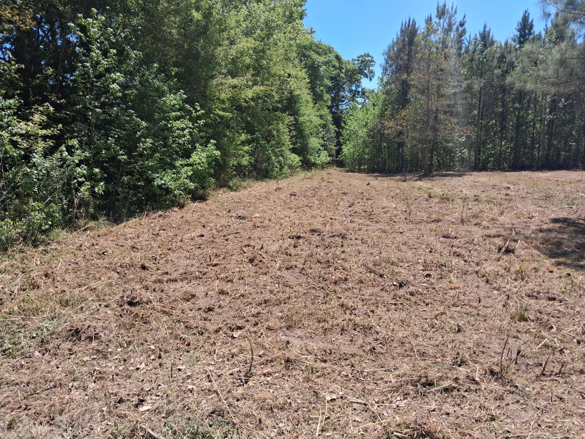 1064 Van Dyke Road Photo 2