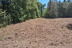 1064 Van Dyke Road photo 4