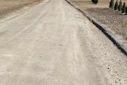 1064 Van Dyke Road photo 4