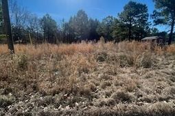 1064 Van Dyke Road photo 4