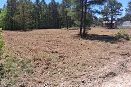 1064 Van Dyke Road photo 4