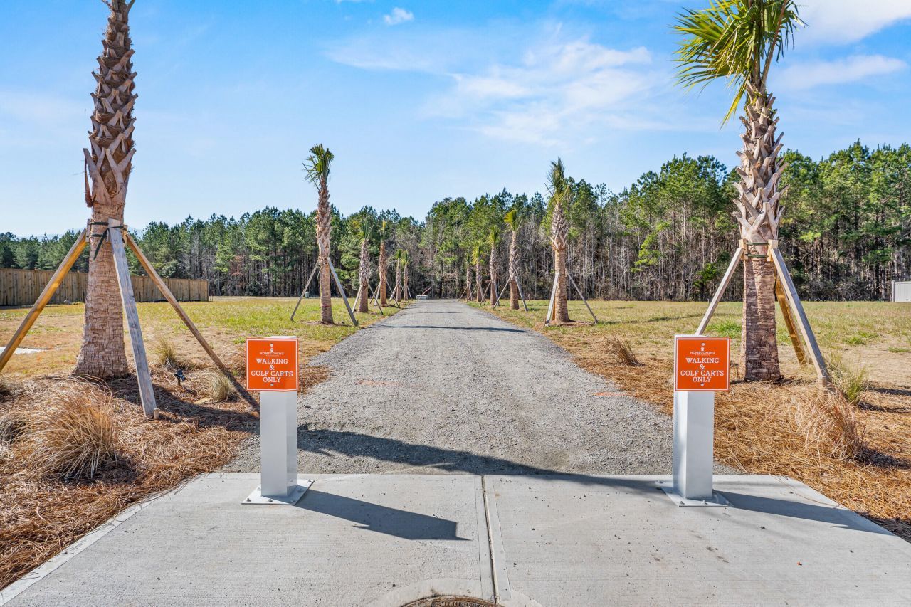 1068 Magnolia Warbler Way Photo 46