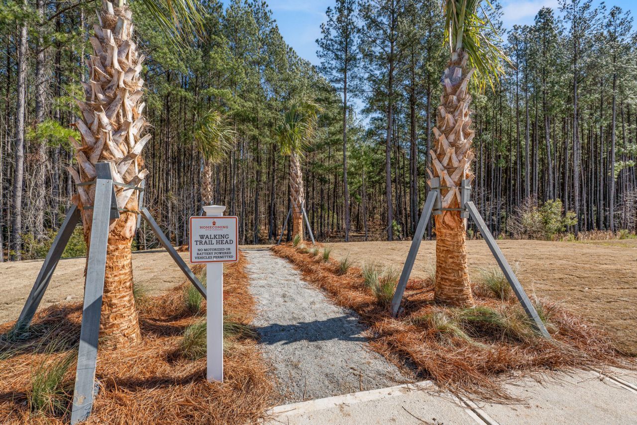 1068 Magnolia Warbler Way Photo 47