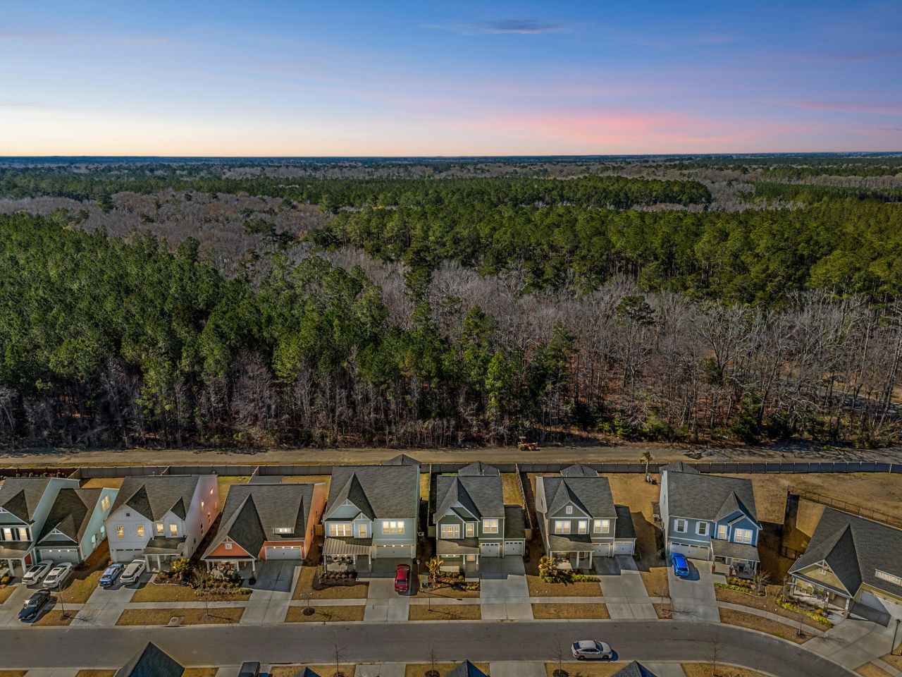 1068 Magnolia Warbler Way Photo 48