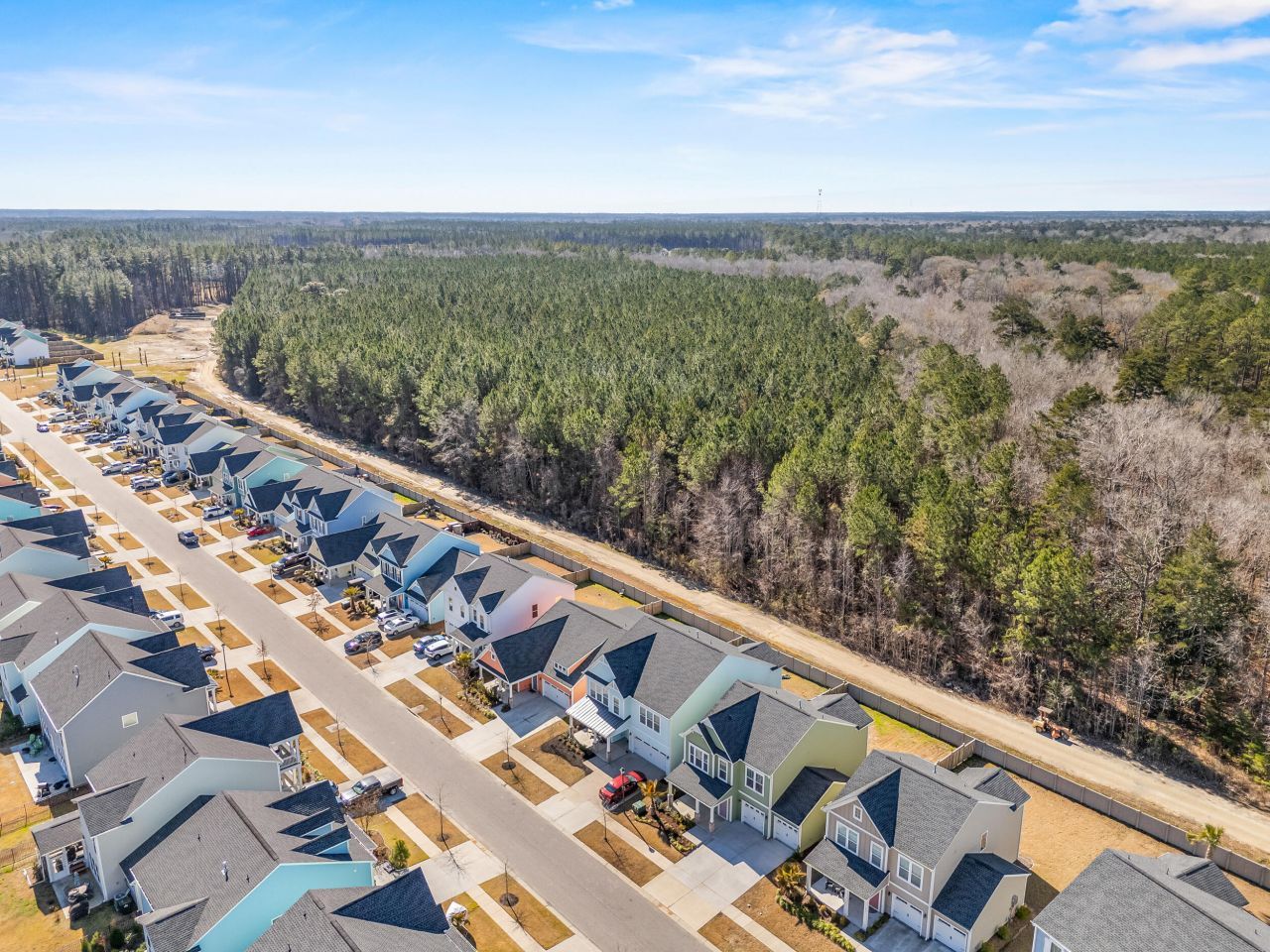 1068 Magnolia Warbler Way Photo 49