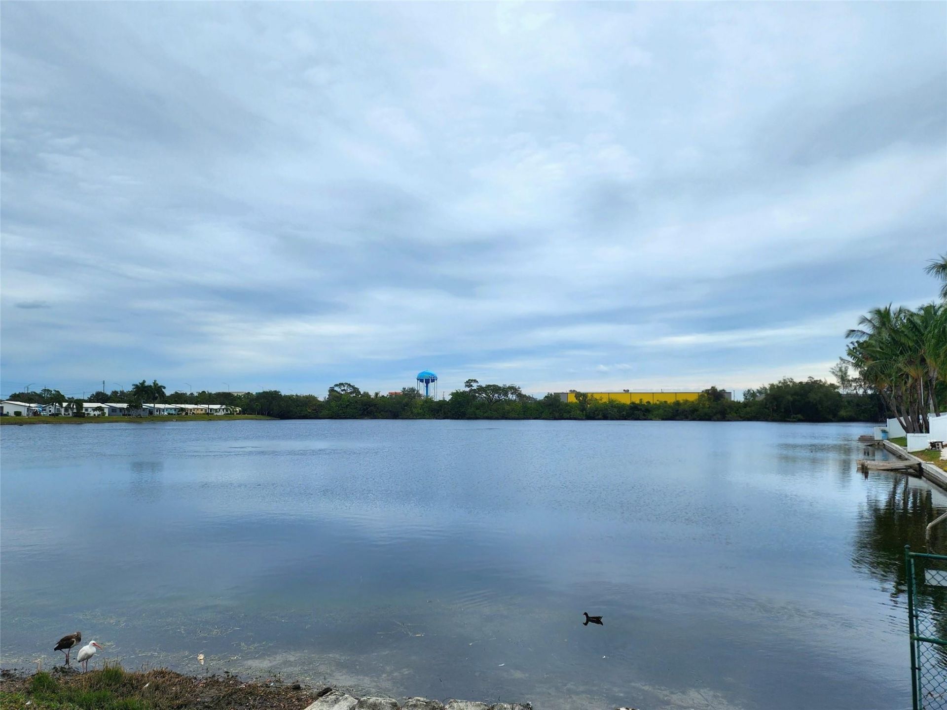 2223 Park Lane, Unit 105, Hollywood, FL 33021 Photo