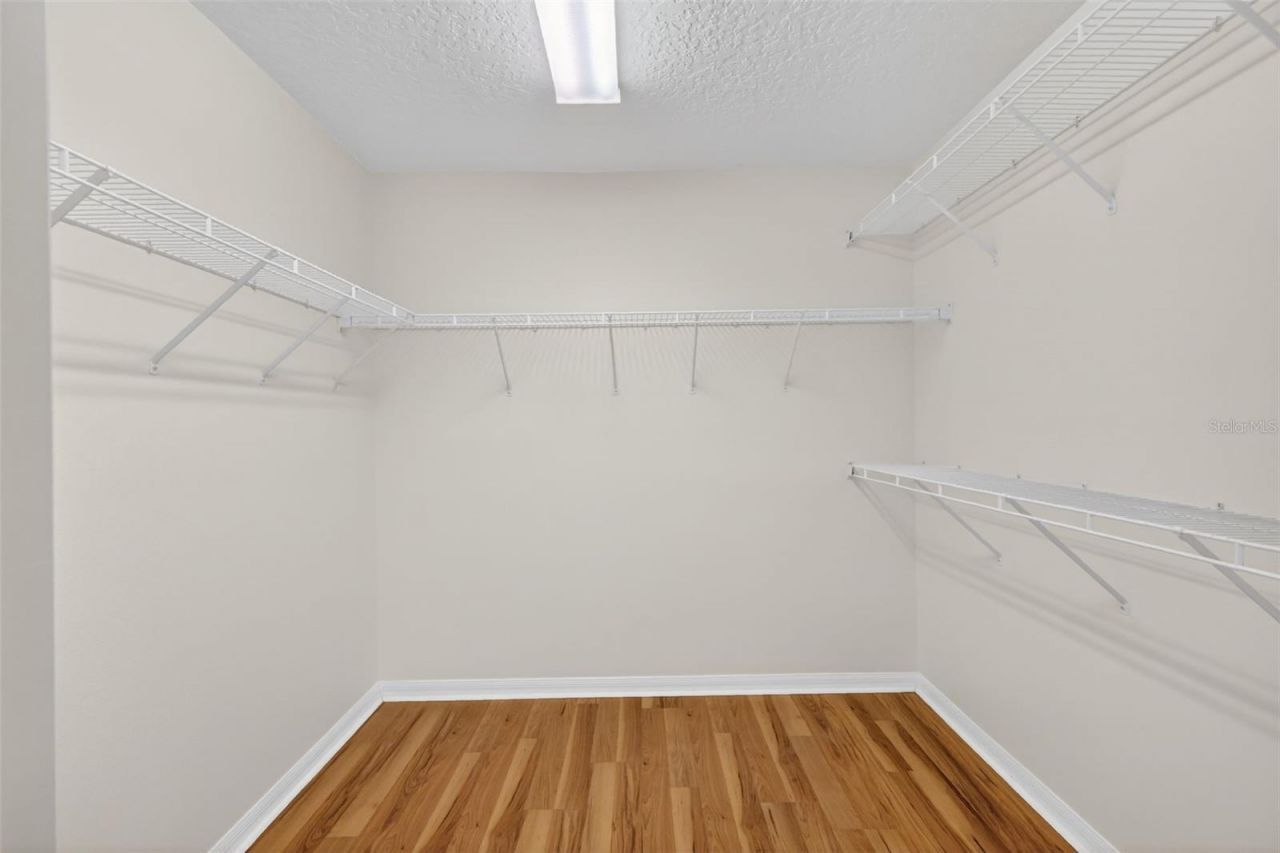 729 Strihal Loop, Oakland, FL 34787 Photo