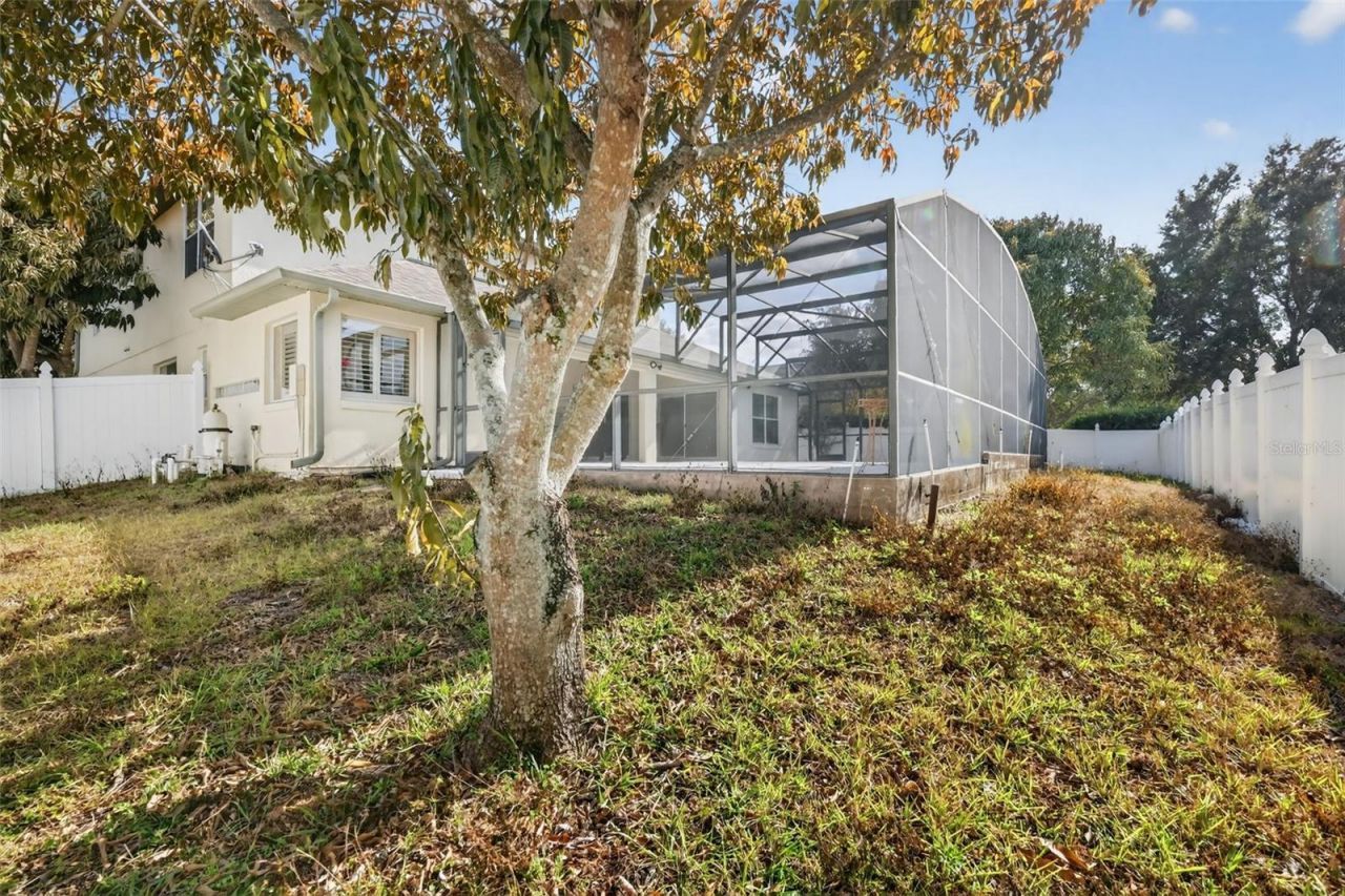 729 Strihal Loop, Oakland, FL 34787 Photo