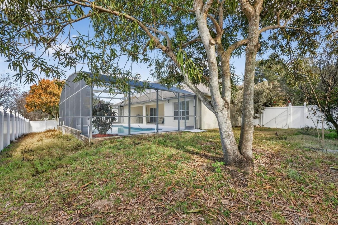 729 Strihal Loop, Oakland, FL 34787 Photo