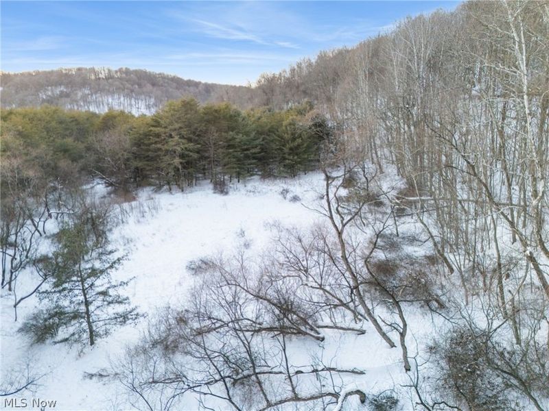 Grimms Bridge Road, East Liverpool, OH 43920 Photo 15