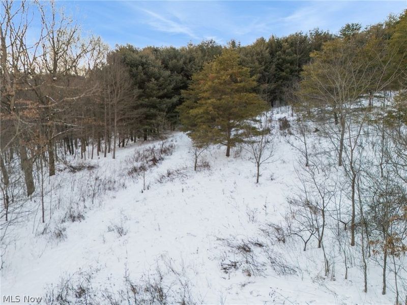 Grimms Bridge Road, East Liverpool, OH 43920 Photo 16