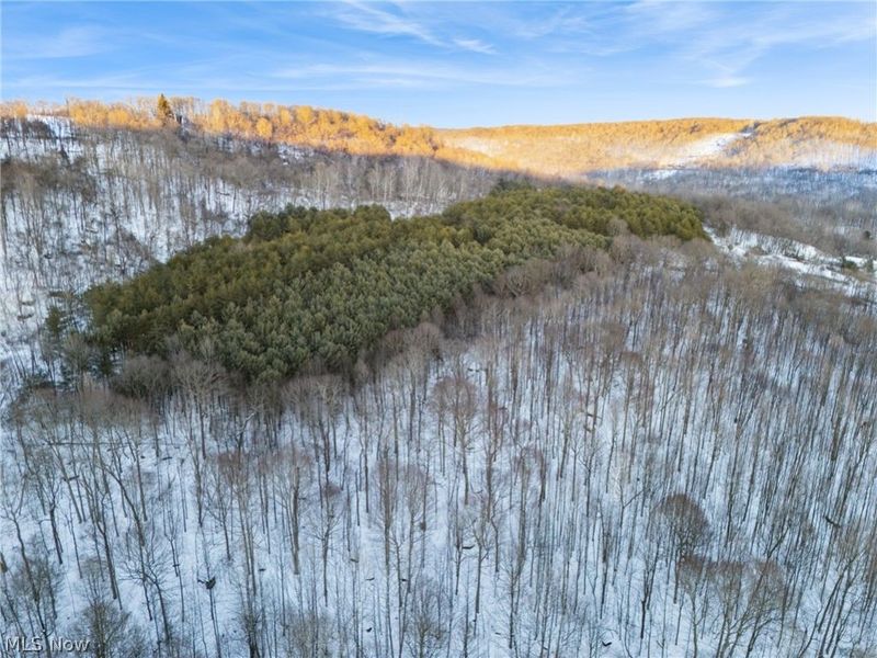 Grimms Bridge Road, East Liverpool, OH 43920 Photo 2