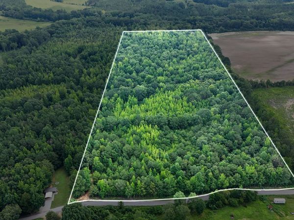 Martin Road NE, Golden, MS 38847