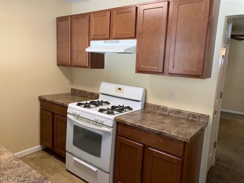 1040 Moneta Avenue, Aurora, OH 44202 Photo 19