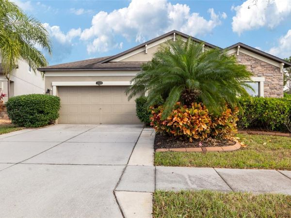 11528 PALMETTO PINE STREET, RIVERVIEW, FL 33569