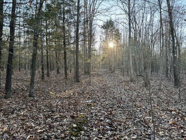 000 Highway Ad, Falcon, MO 65470