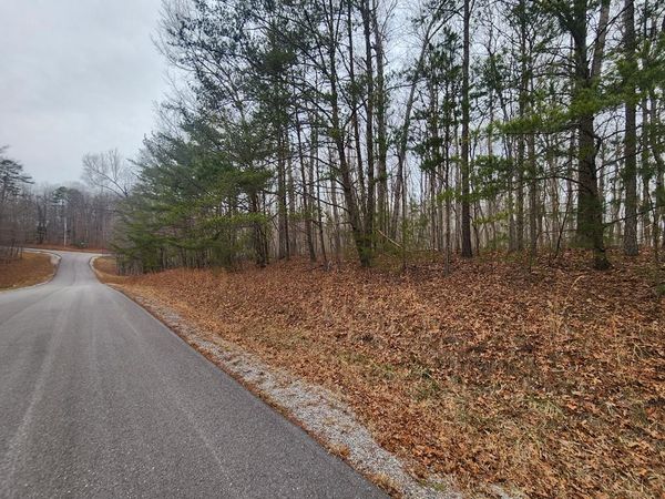 Lot 4 Blueberry Pt., Monterey, TN 38574