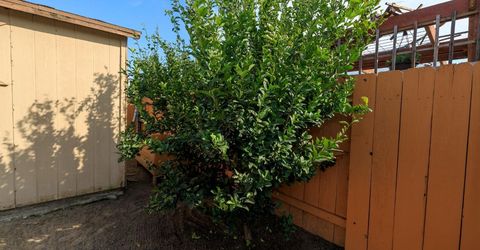 3106 Castellon Way, Stockton, CA 95205 Photo