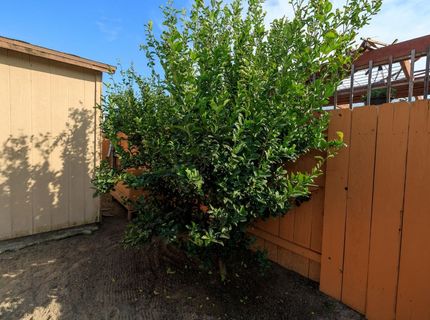 3106 Castellon Way, Stockton, CA 95205 Photo