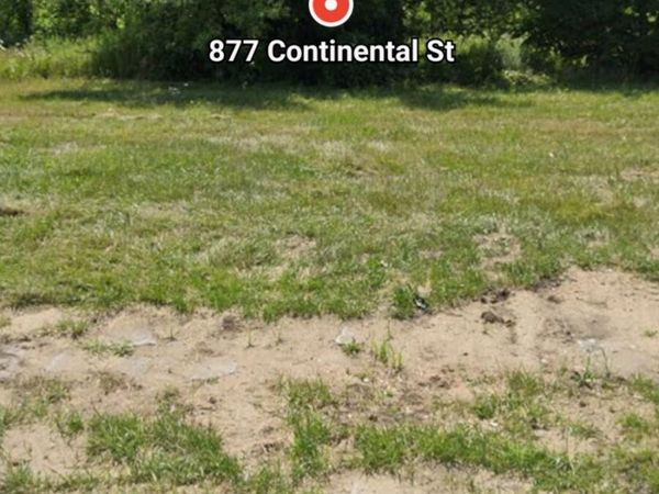 877 Continental Street, Detroit, MI 48215