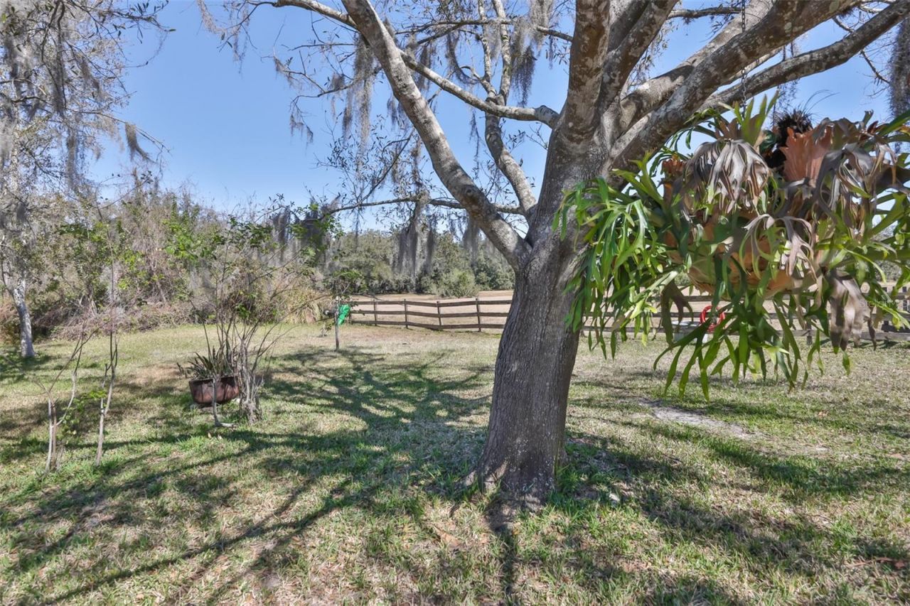 20112 Hobbs Road, Wimauma, FL 33598 Photo