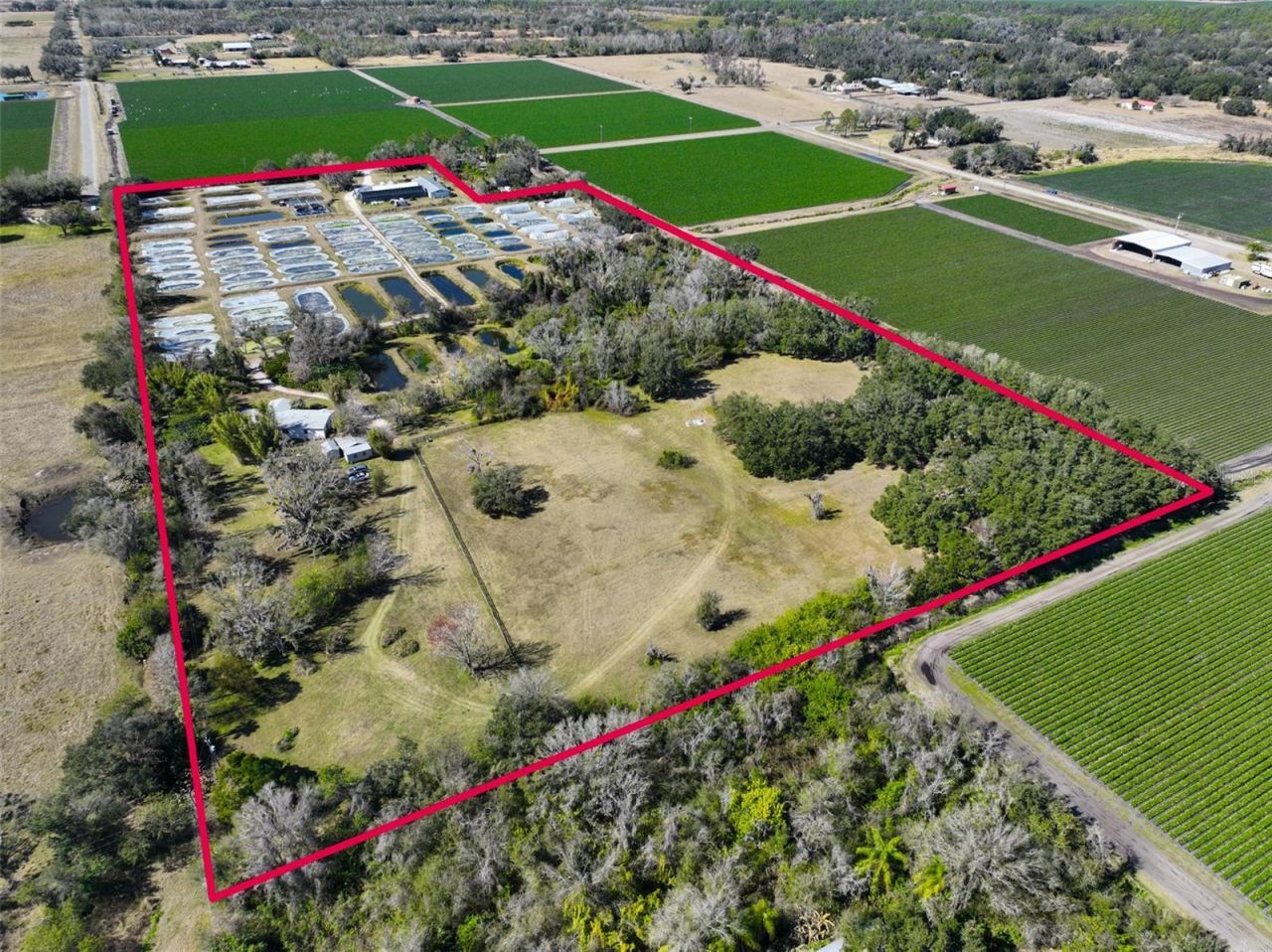 20112 Hobbs Road, Wimauma, FL 33598 Photo