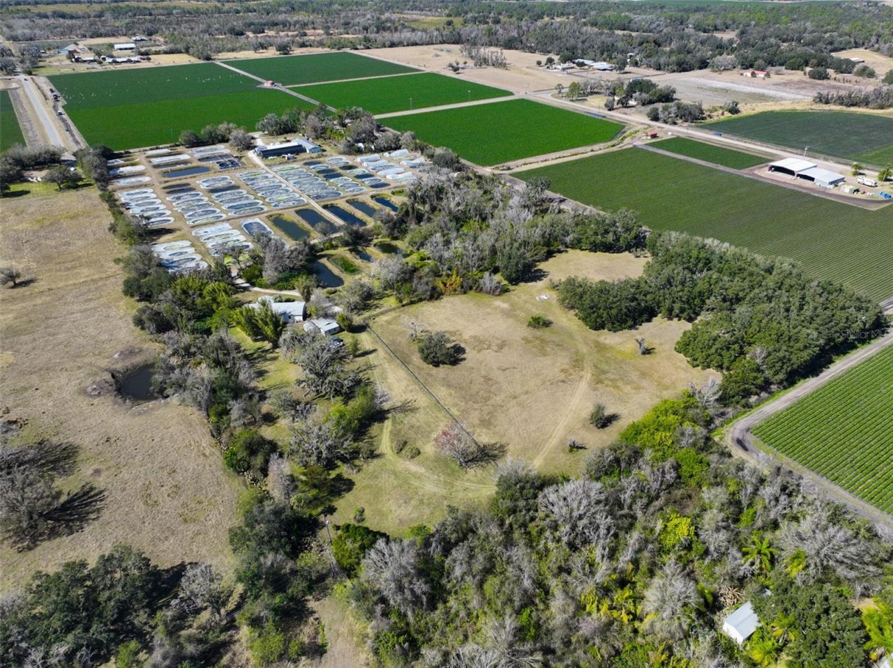 20112 Hobbs Road, Wimauma, FL 33598 Photo