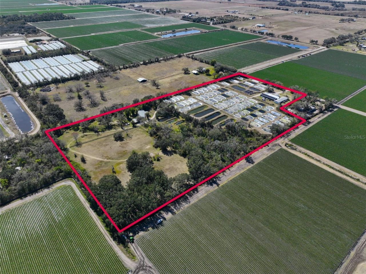 20112 Hobbs Road, Wimauma, FL 33598 Photo