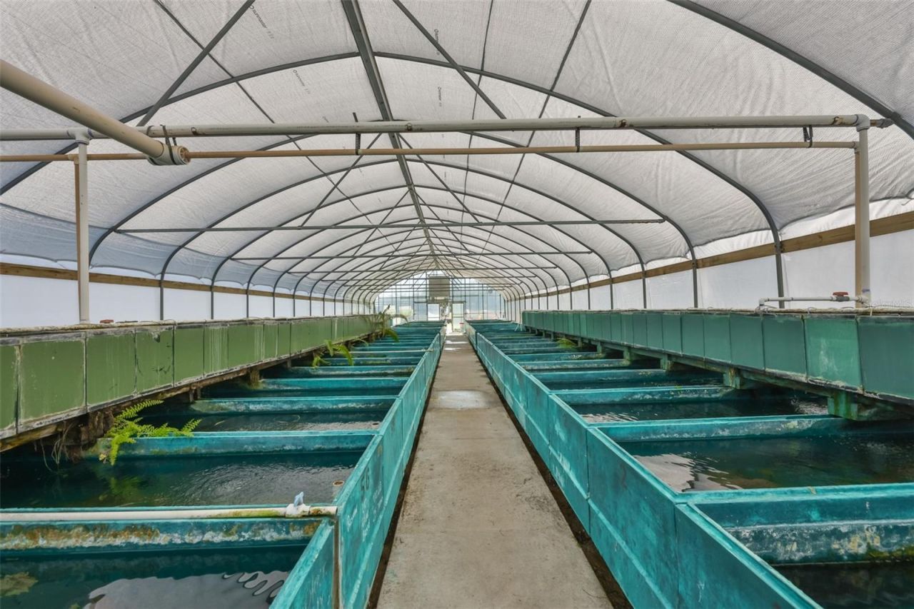 20112 Hobbs Road, Wimauma, FL 33598 Photo