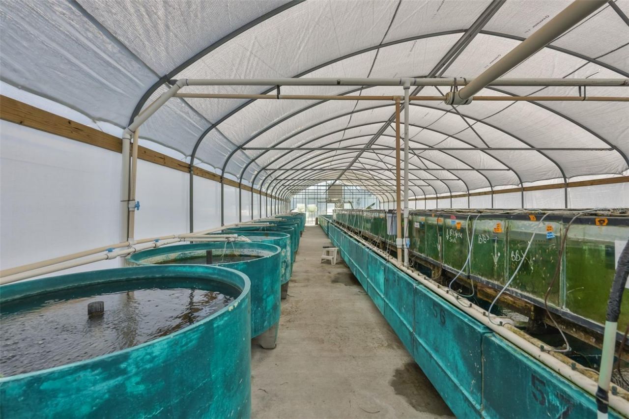 20112 Hobbs Road, Wimauma, FL 33598 Photo