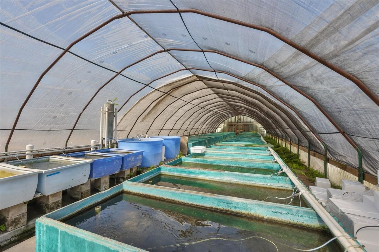 20112 Hobbs Road, Wimauma, FL 33598 Photo