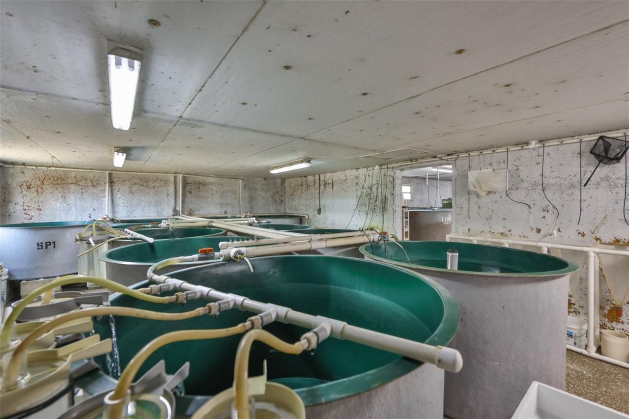 20112 Hobbs Road, Wimauma, FL 33598 Photo