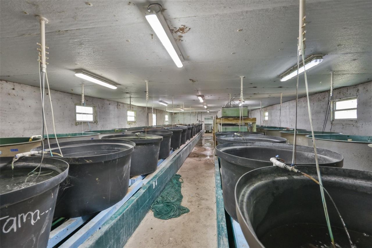 20112 Hobbs Road, Wimauma, FL 33598 Photo