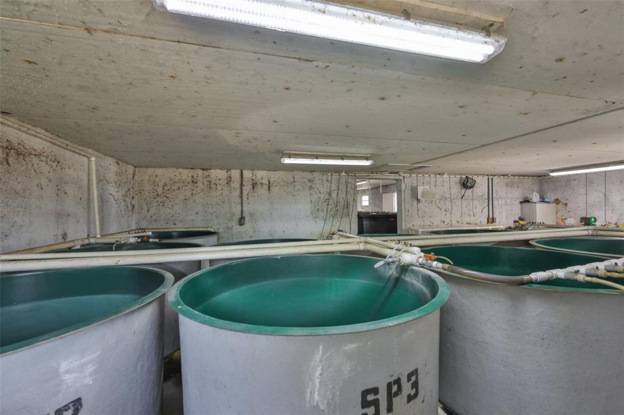 20112 Hobbs Road, Wimauma, FL 33598 Photo