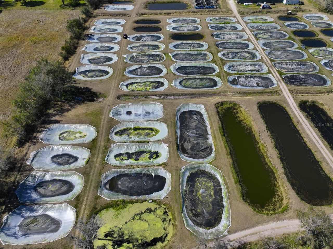 20112 Hobbs Road, Wimauma, FL 33598 Photo