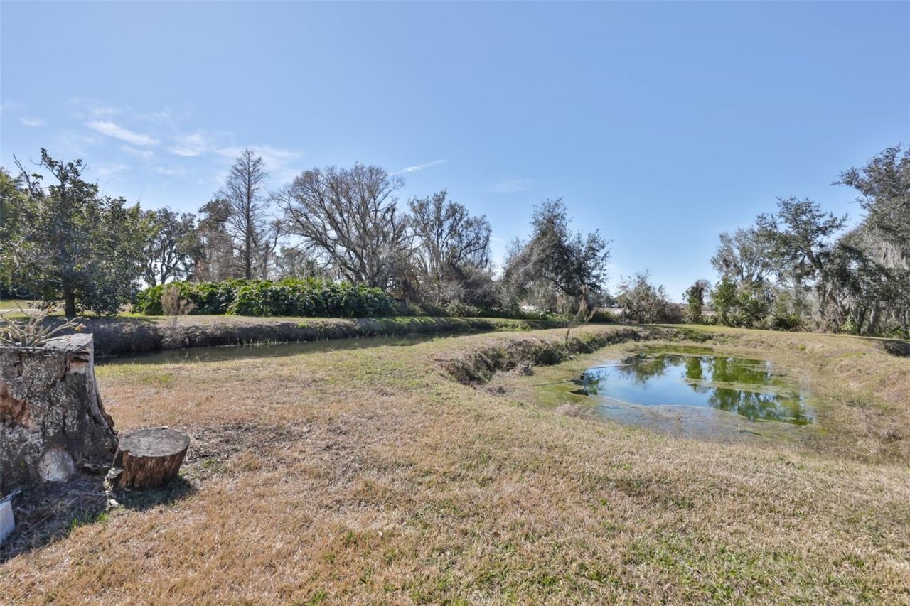 20112 Hobbs Road, Wimauma, FL 33598 Photo