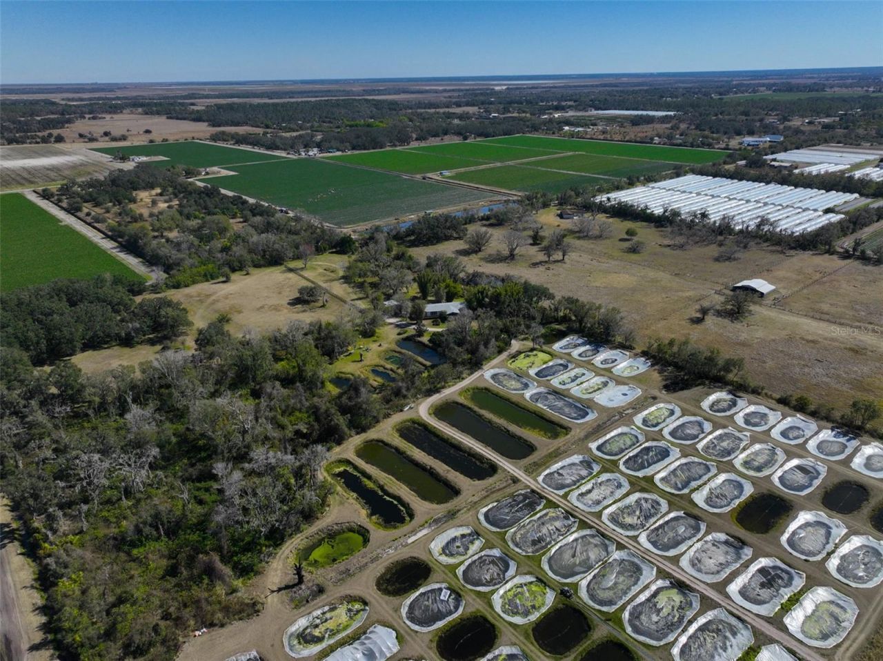 20112 Hobbs Road, Wimauma, FL 33598 Photo