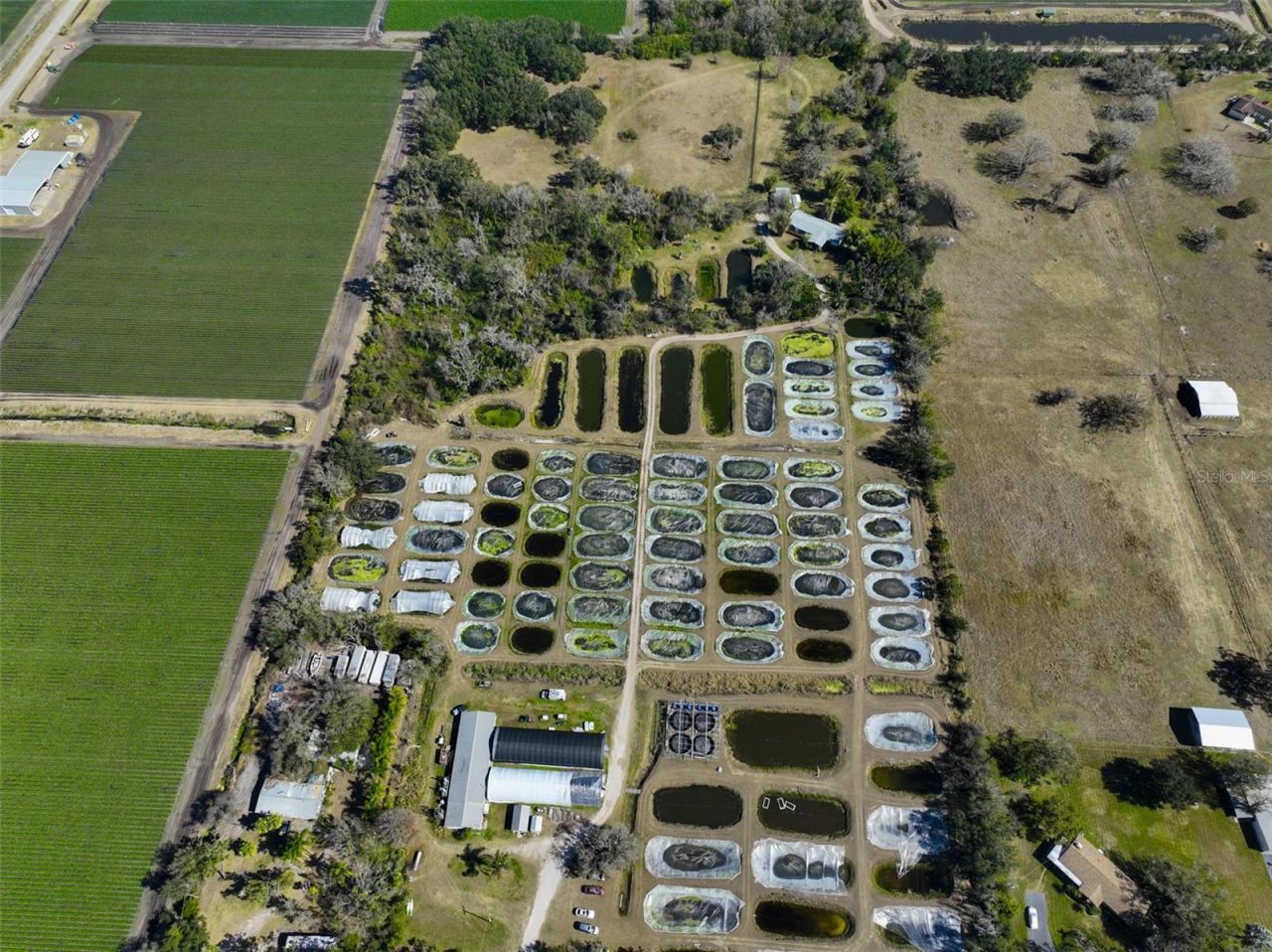 20112 Hobbs Road, Wimauma, FL 33598 Photo