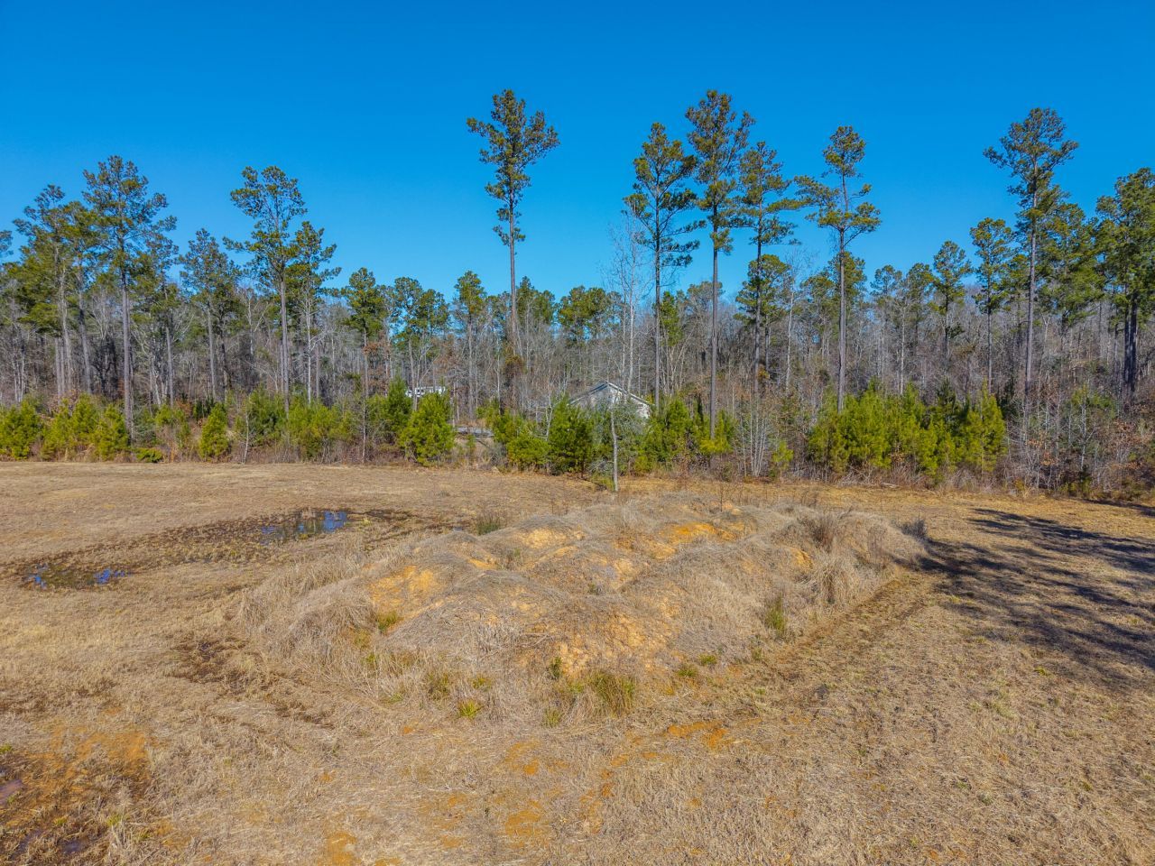 V/l Calamus Pond Road Photo 27