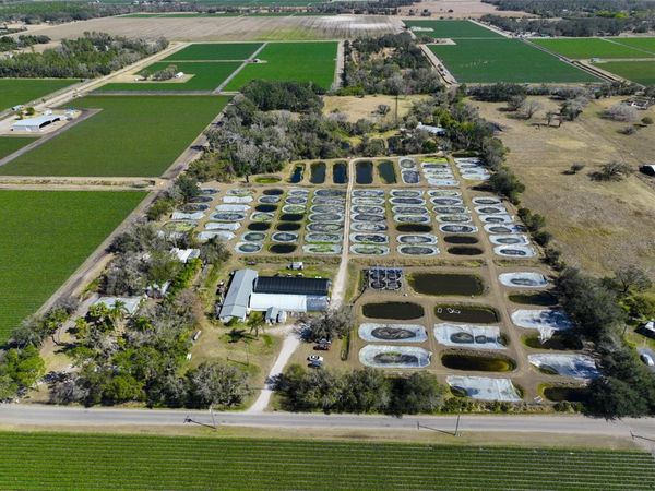 20112 HOBBS ROAD, WIMAUMA, FL 33598