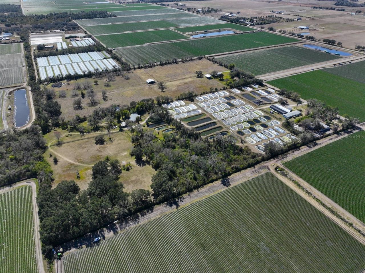 20112 Hobbs Road, Wimauma, FL 33598 Photo