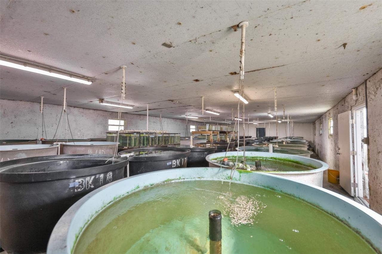 20112 Hobbs Road, Wimauma, FL 33598 Photo