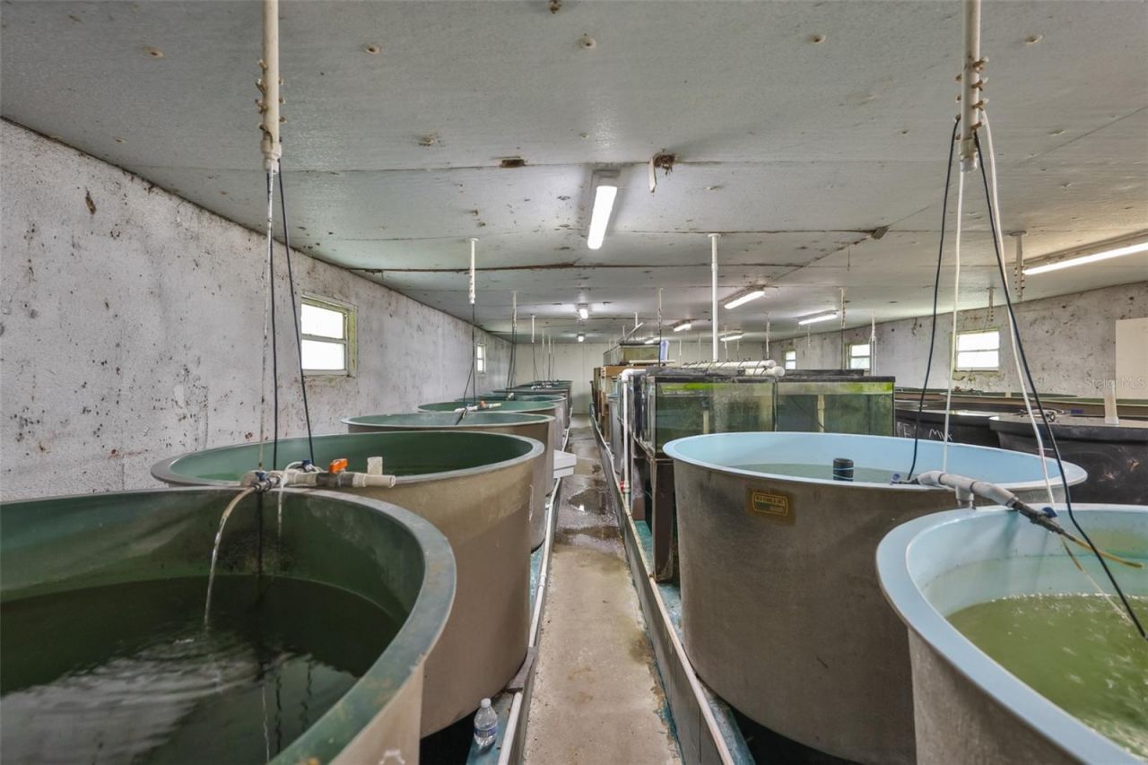 20112 Hobbs Road, Wimauma, FL 33598 Photo