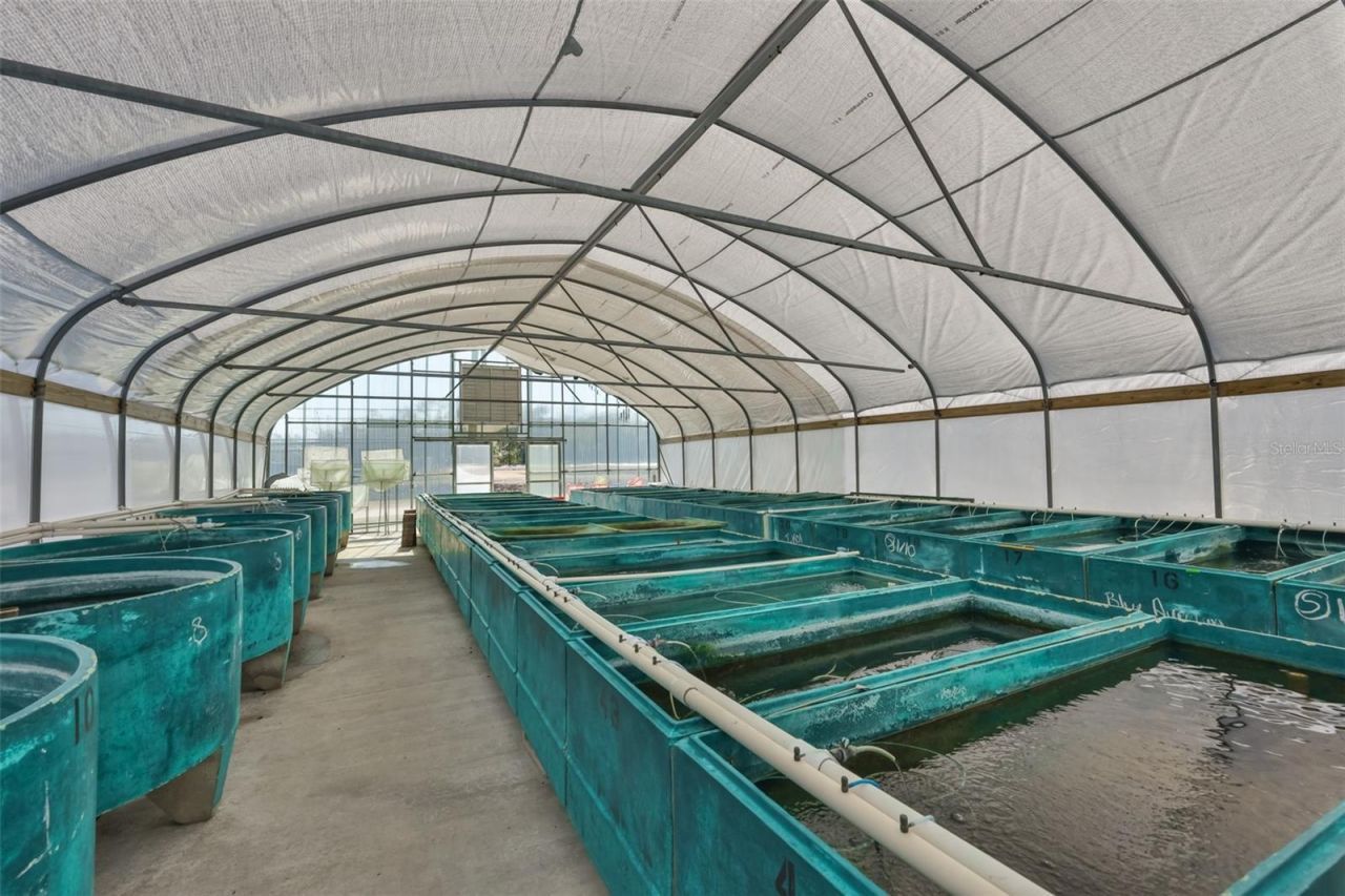 20112 Hobbs Road, Wimauma, FL 33598 Photo