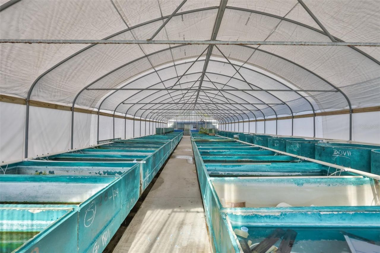 20112 Hobbs Road, Wimauma, FL 33598 Photo