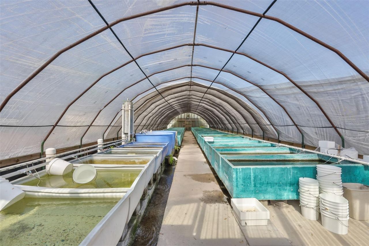 20112 Hobbs Road, Wimauma, FL 33598 Photo