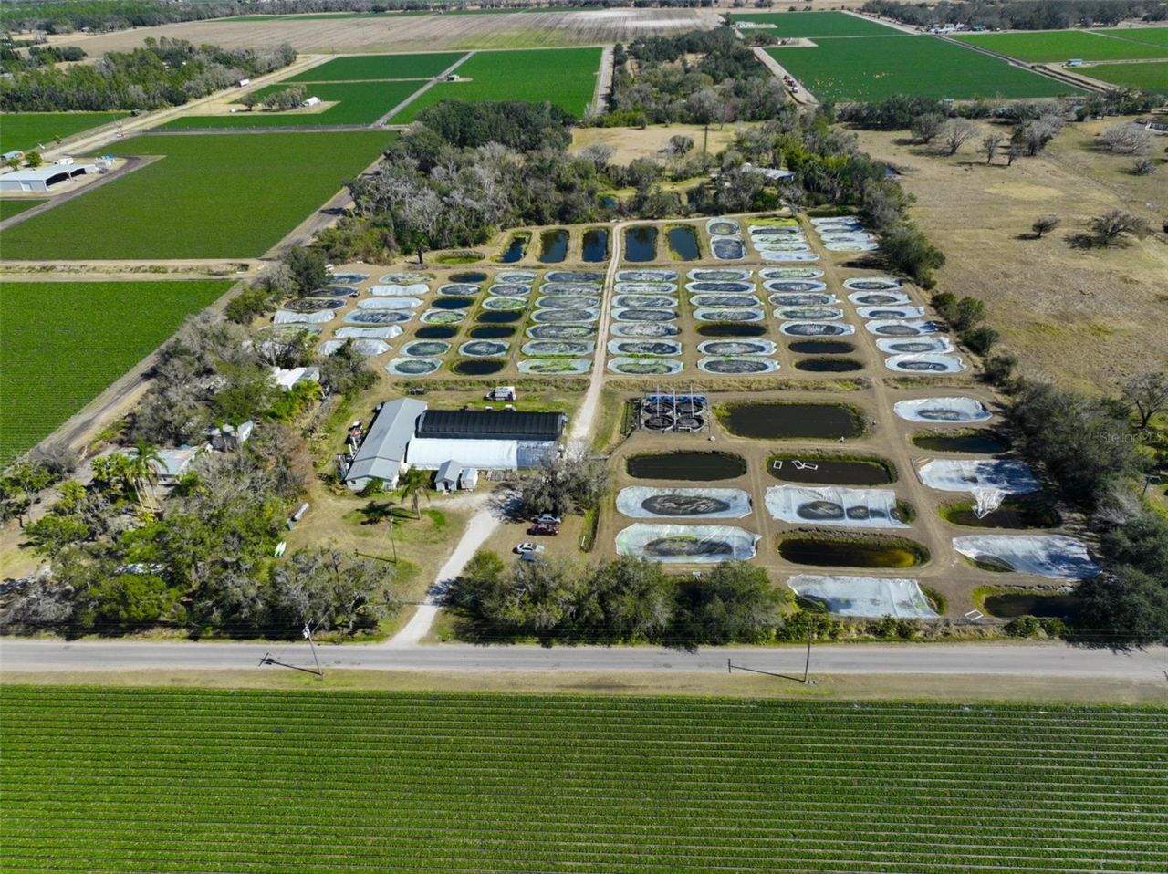 20112 Hobbs Road, Wimauma, FL 33598 Photo